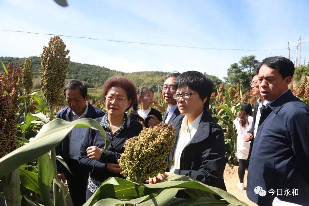 永和县副县长图片