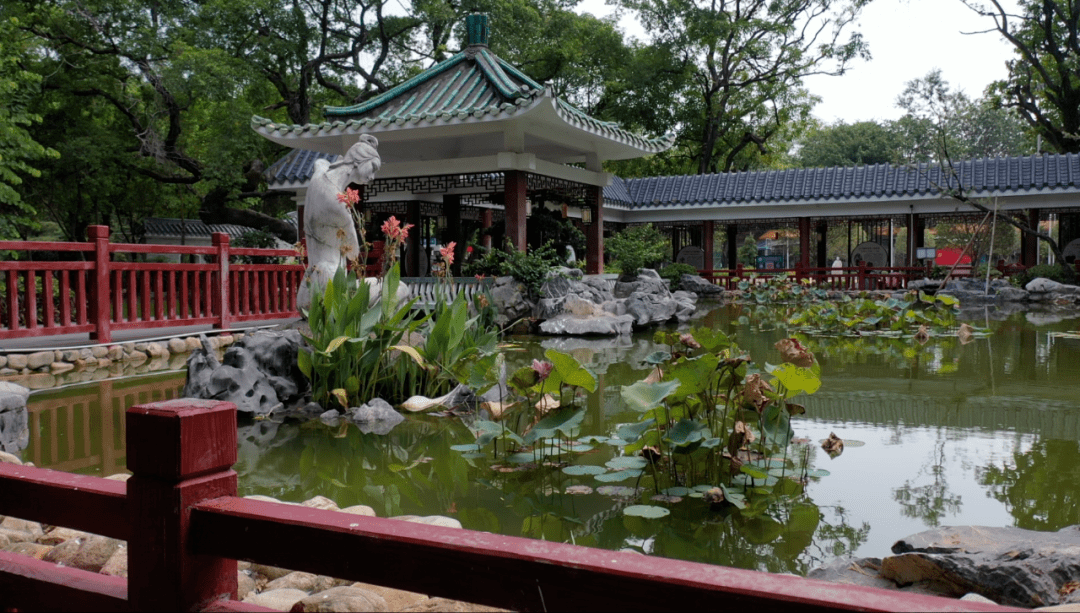 多图抢先看!普宁流沙人民公园修缮完成,已重新开放