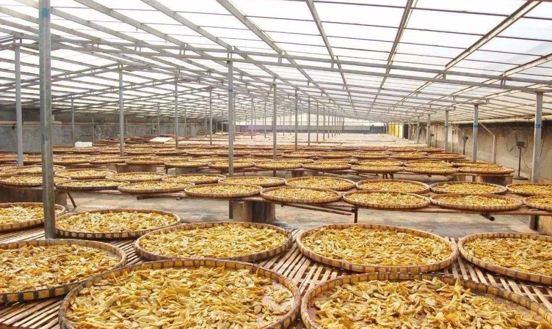 广东省工业旅游培育资源库名单出炉→_客家_景区_凉果厂