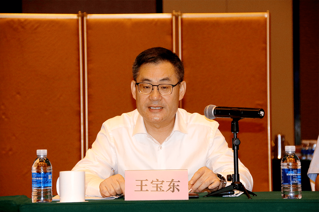 如今,伴随邵睿以新职务公开亮相,王宝东被任命为区政府副区长,这两人