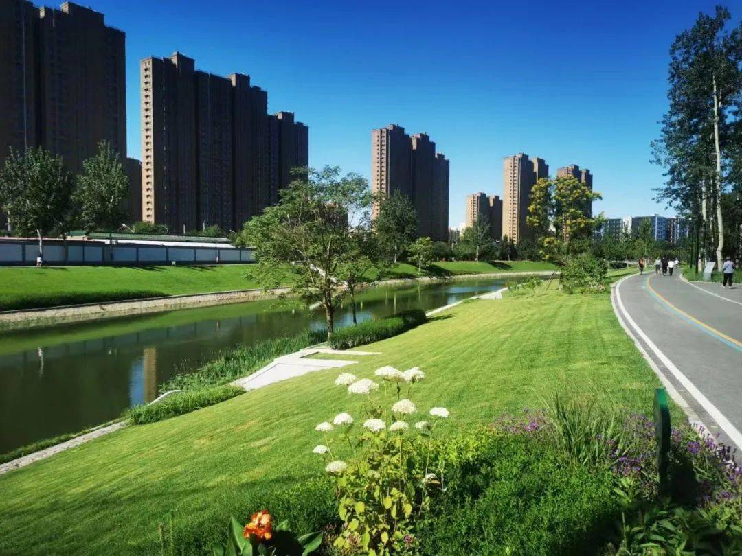 摄影征集 | 咱东坝也太~太~太美了!