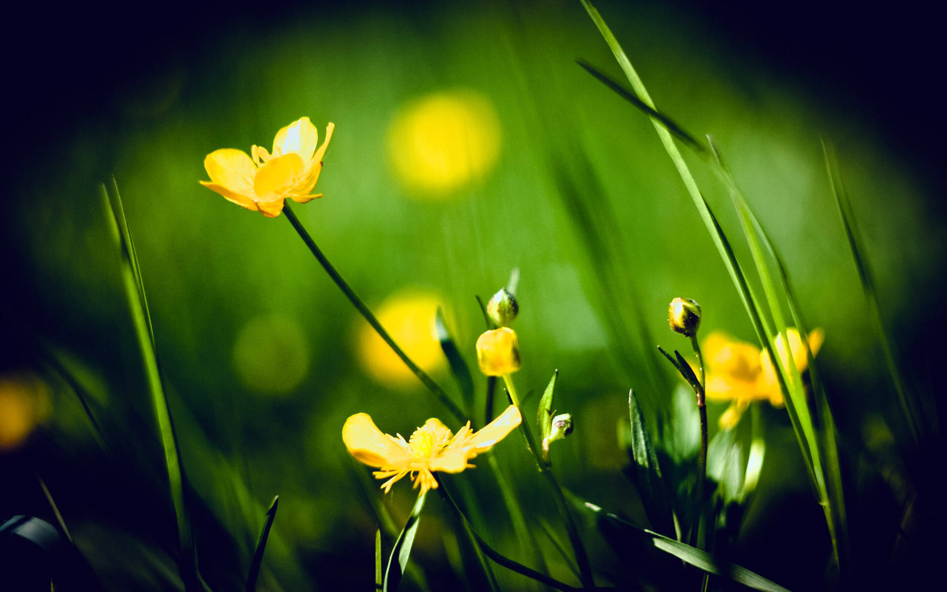 抖音怎么发起挑战,抖音话题如何设置封面,小红书网红怎么做?