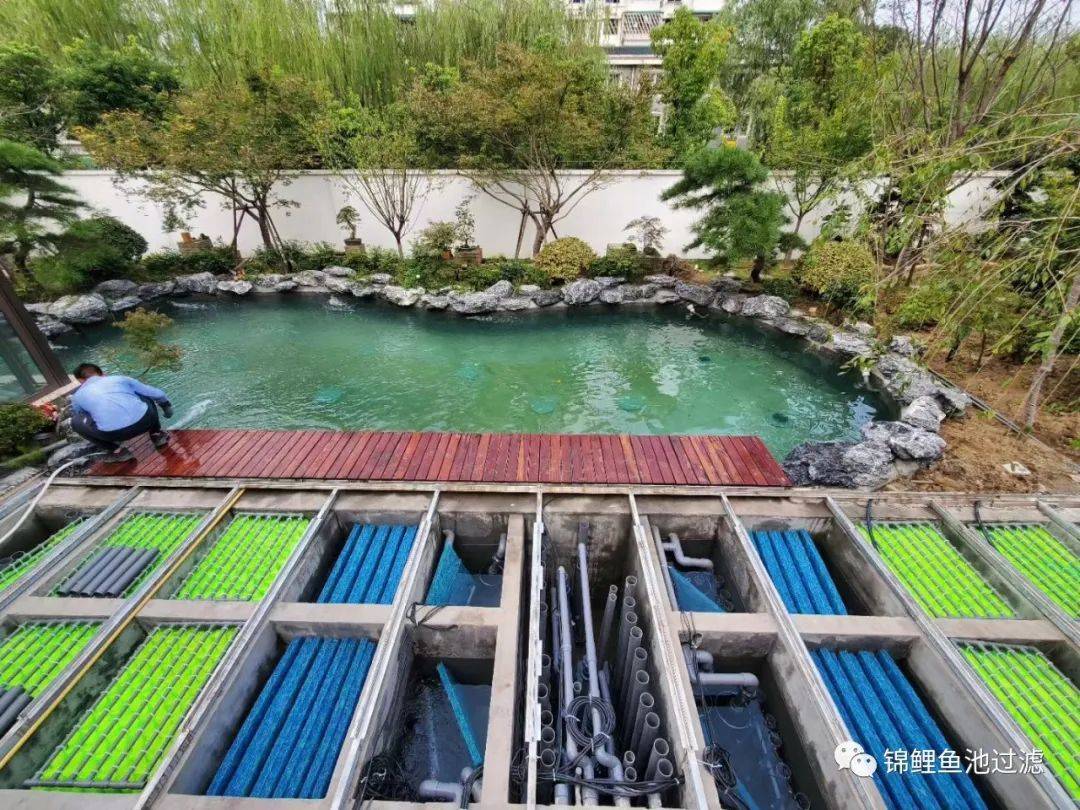 庭院鱼池设计注意事项与风格参考_自然_景观_系统