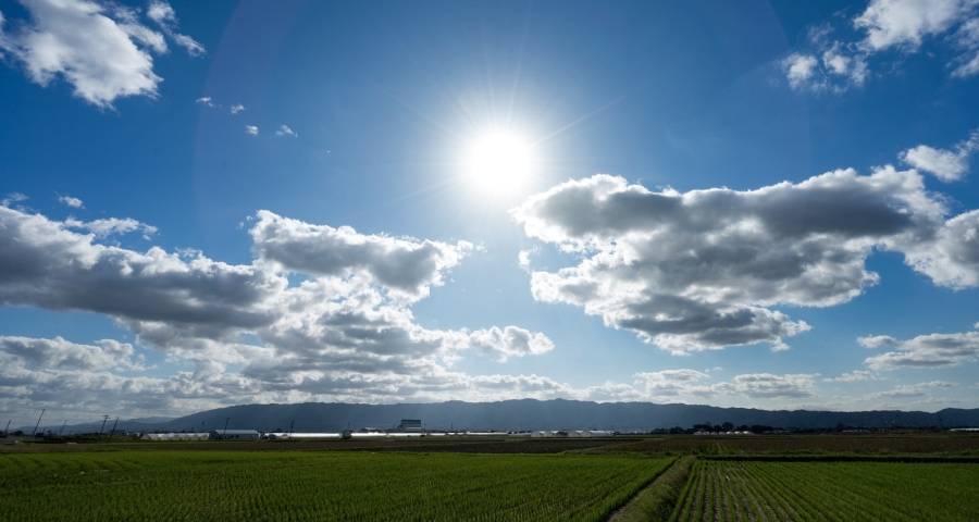激战四季度家电厂商不能继续乱干-家电圈官网
