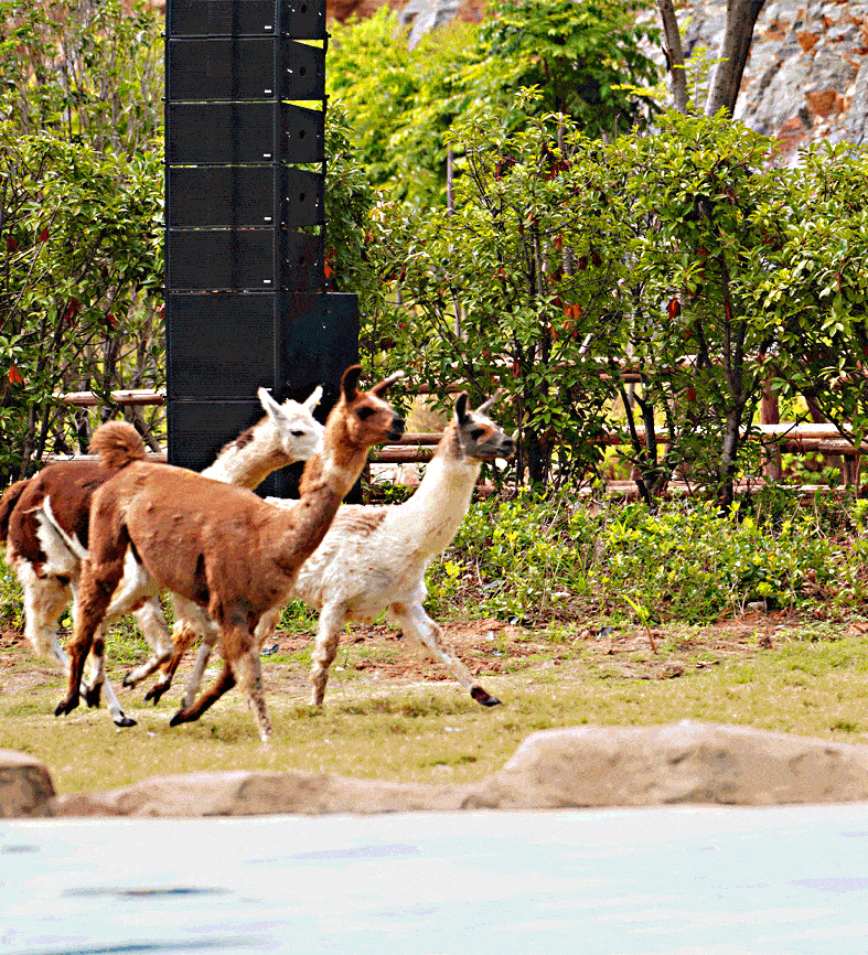 蚌埠周边一野生动物园开园啦!_游客_互动_自然