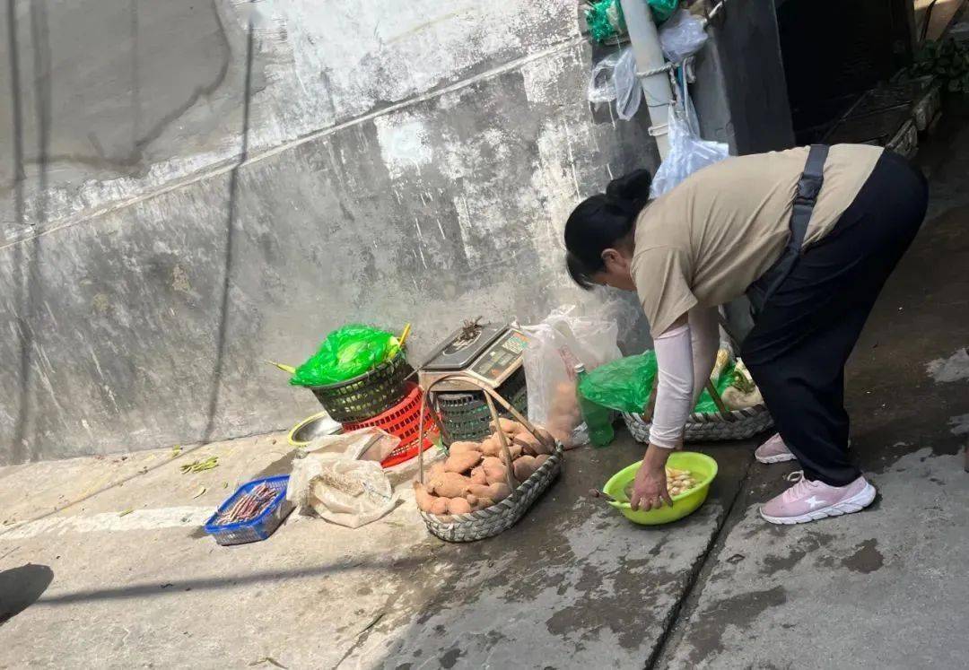 泰顺这几幕被曝光_现象_洋心_工作