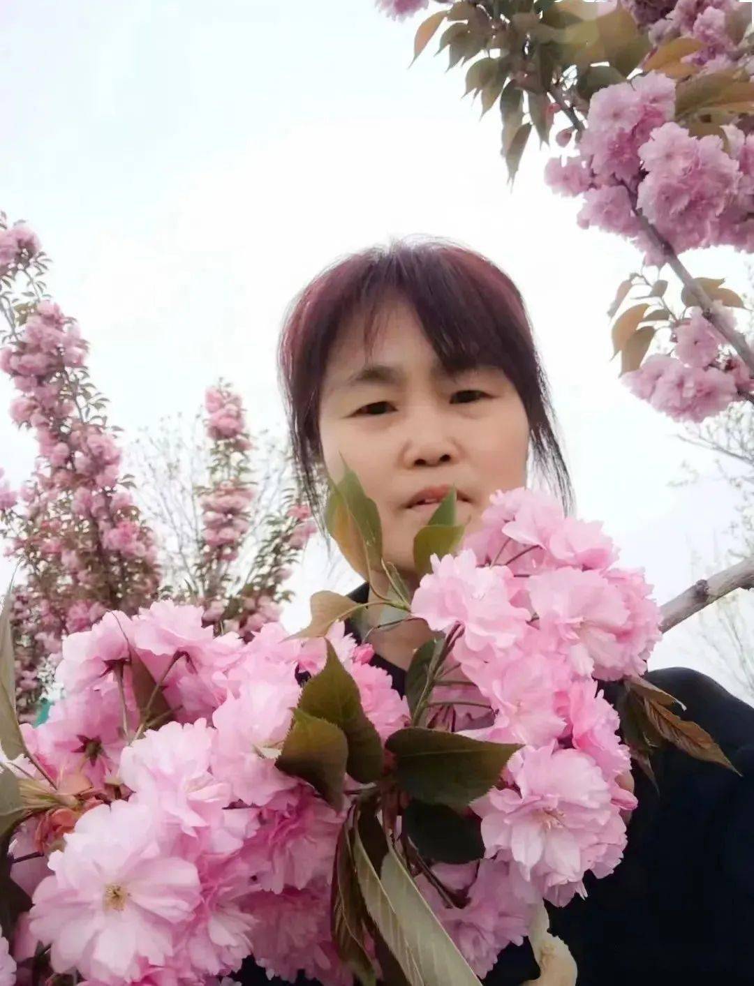 【作者简介】王双红,合阳县同家庄人;田园劳动者