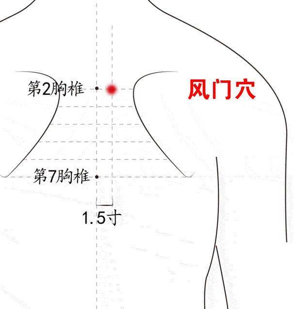 阻风门的准确位置图片图片