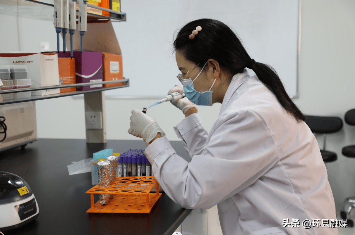 环县肉羊种质创新中心基因组育种实验室正式启用_产业_发展_建设