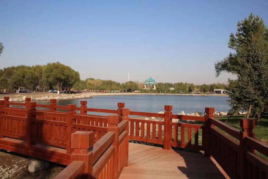 白城市森林公园主体建设完成,现已对外开放!_绿化_市民_文化