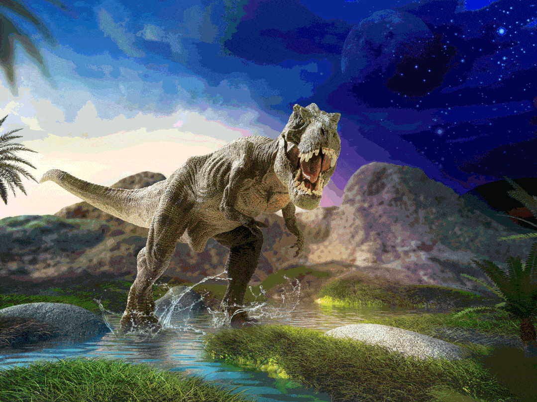 游客在坐船赏水景的同时也能与河马,大羚羊黑天鹅等动物不期而遇除此