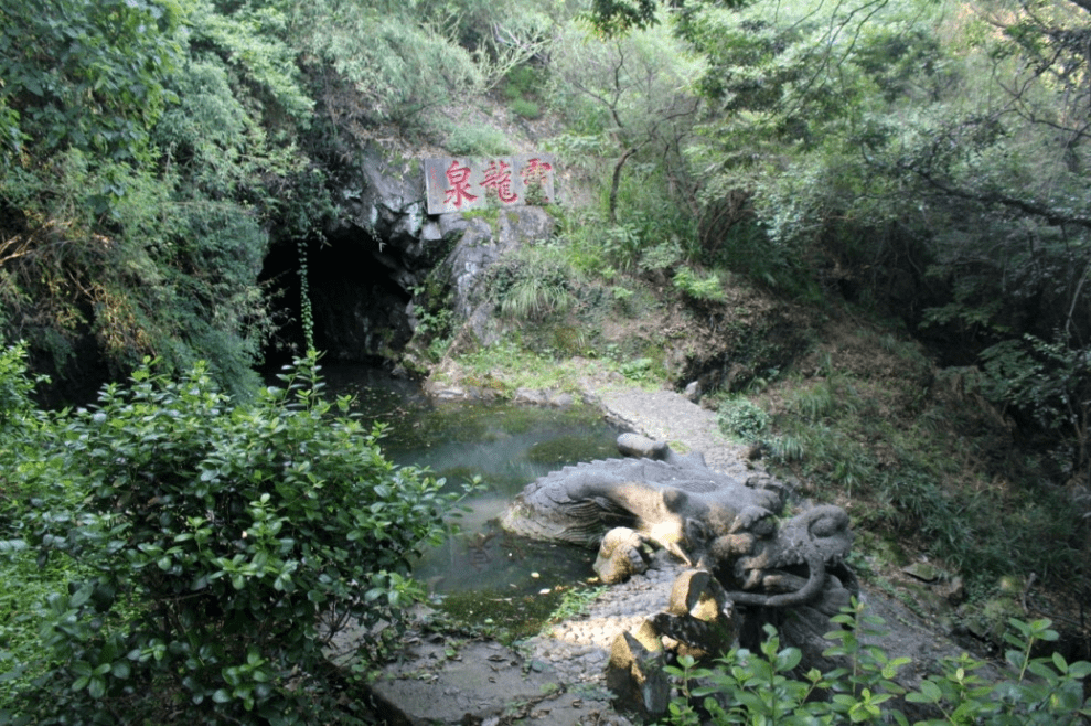 图4:保国寺前导区古香樟踏进这片寺院净土,龙盘虎拏的古樟苍翠古朴(图