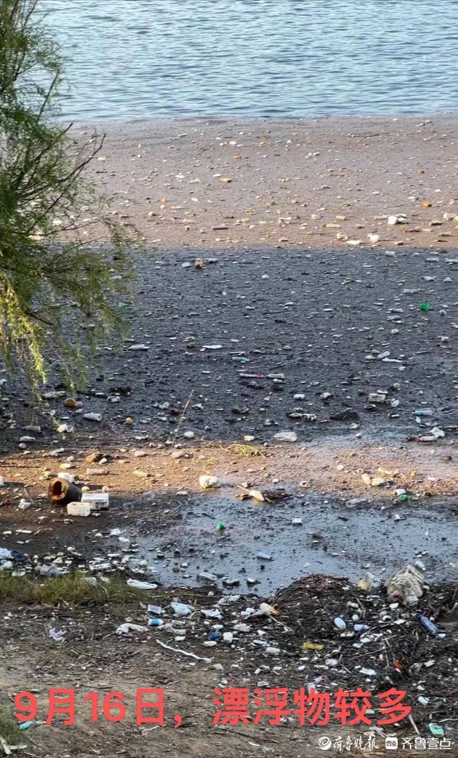 暴雨给泰安黄前水库带来大量垃圾,水利局连续清理月余_水质_漂浮物