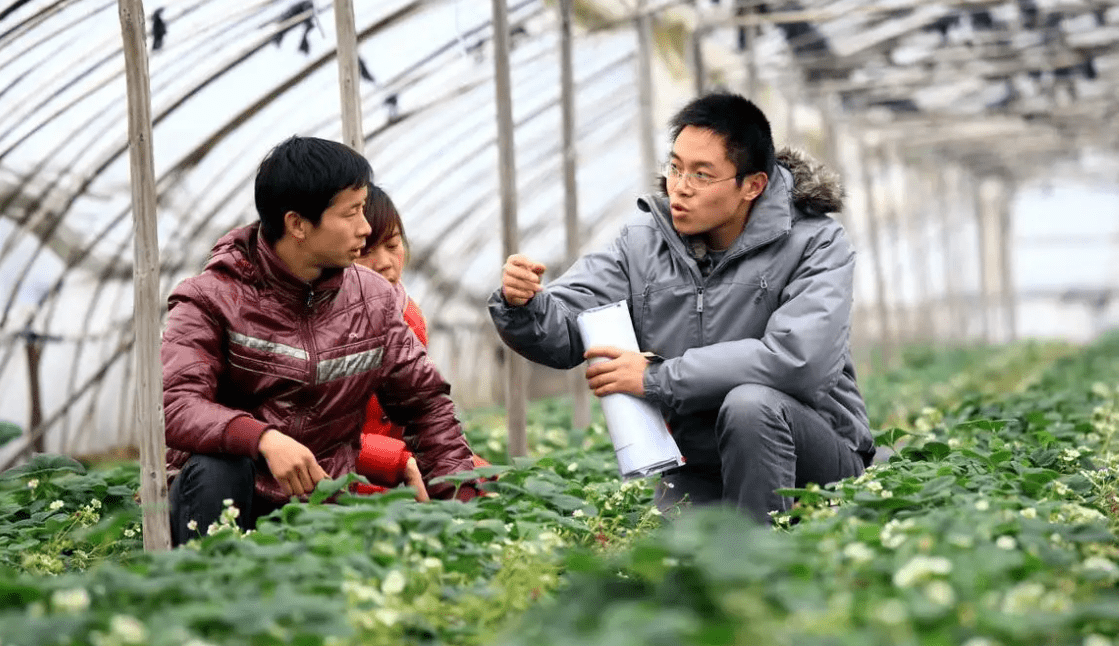 农林专业学生的"春天"来了,教育部重磅发文,培养急需紧缺人才_高校