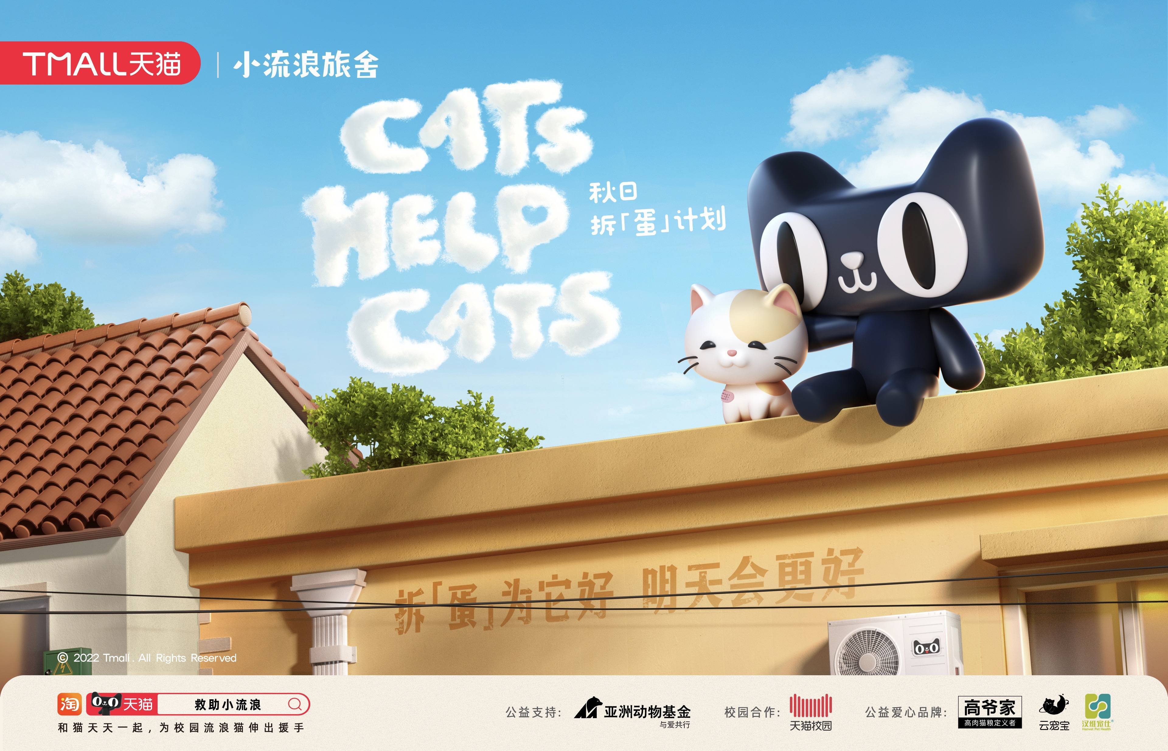 cats help cats｜天猫携手亚洲动物基金救助校园流浪猫
