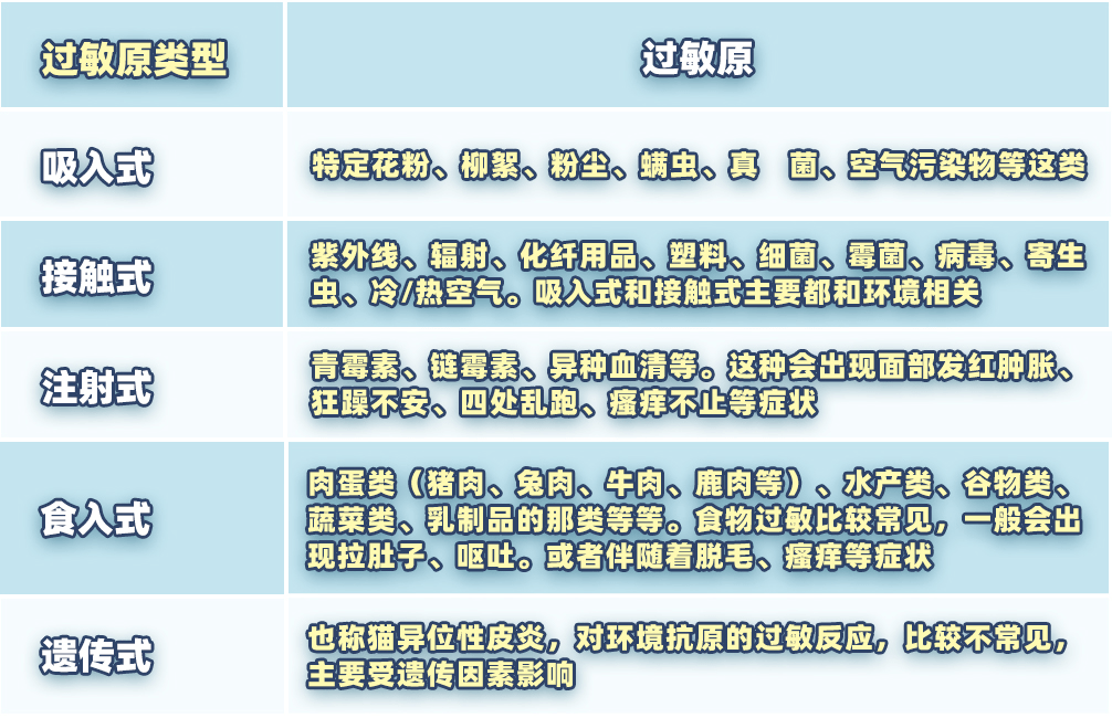 为什么秋天更容易过敏(原因是什么及如何预防)