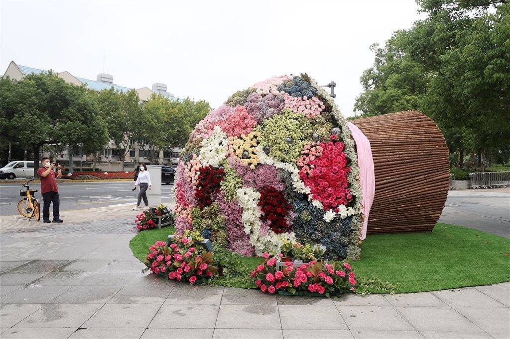 情人节花坛梗图片