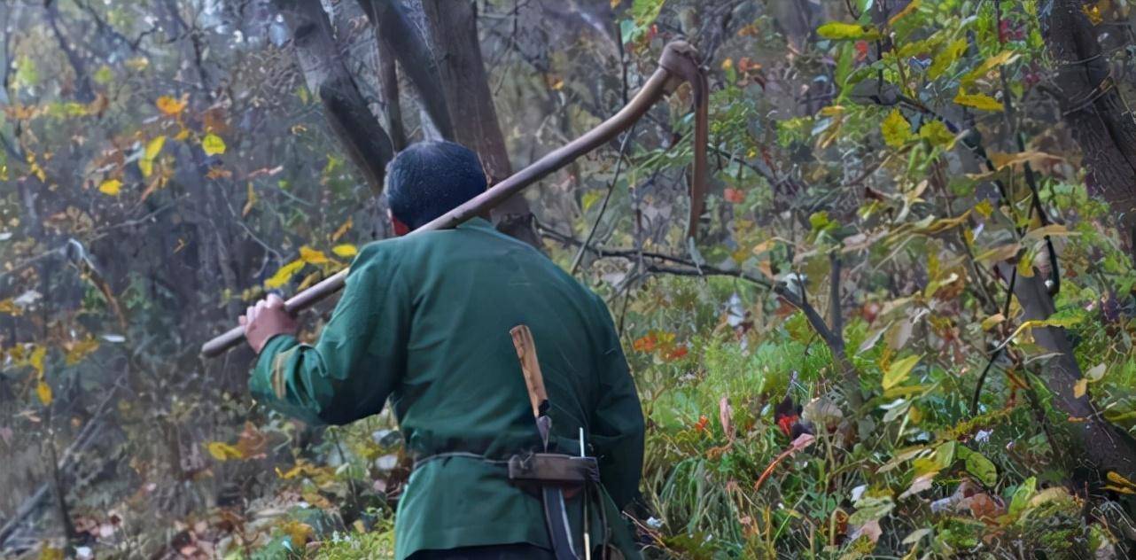 到了鞍马山,程地明可来了劲,他发现这山上的菜花