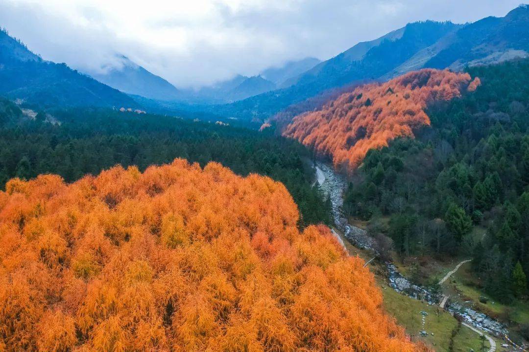 蜂桶寨鄧池溝景區針對醫護人員,警察,消防,救援隊實行免景區門票政策