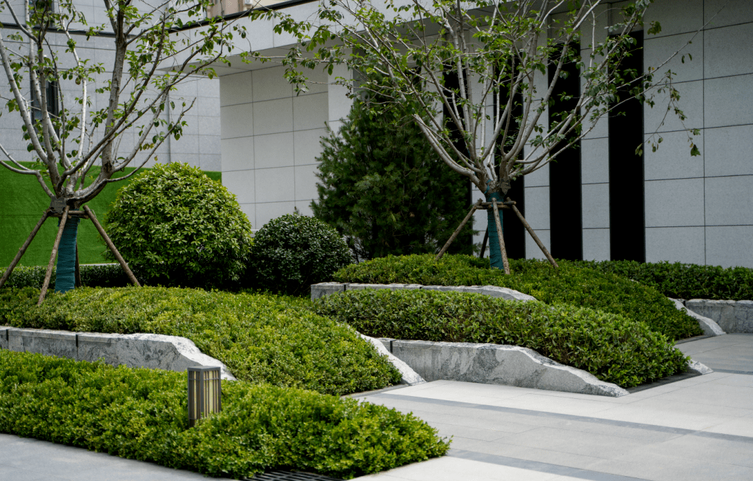 枝丫之下,书吧之中,坐看晓丹晚翠与汤逊为邻,与清风为友,与日月同歌在