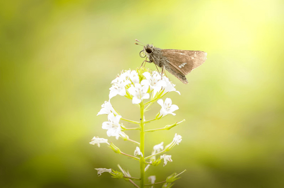 江陰