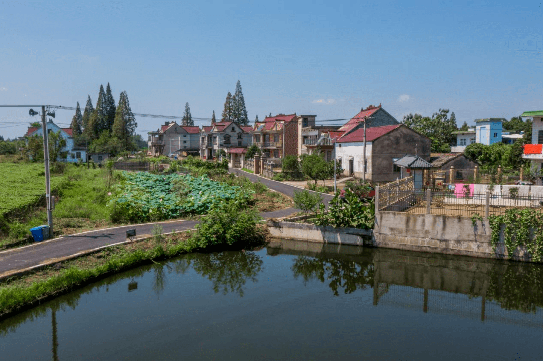 庆国庆 迎盛会 基层一线话振兴系列②_弋江镇_美食_乡村