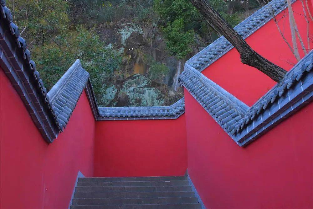 国庆游利州丨皇泽寺博物馆_景区_广元_历史