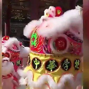 50个广东醒狮头,现身日本街头!_横滨_游行_活动