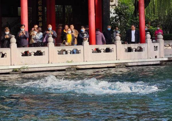 济南趵突泉地下水位创57年来最高水位纪录，游客好福气