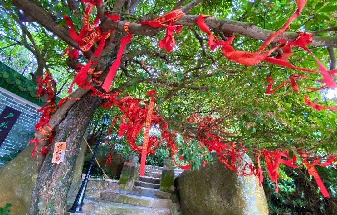 继续往前走,就看到了一座古老的寺庙,这里还有一颗姻缘树,是可以许愿