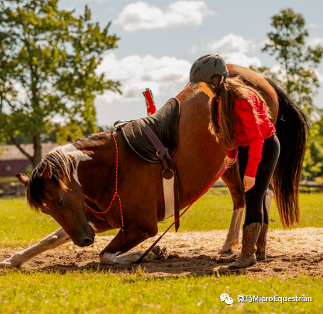 几亿的马?最牛逼的骑手?最高级跪礼?