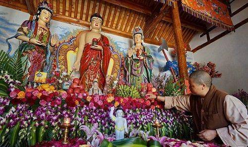 中国最虔诚尼姑庵：尼姑和游客从不烧香，原因是怕触犯佛教杀戒！