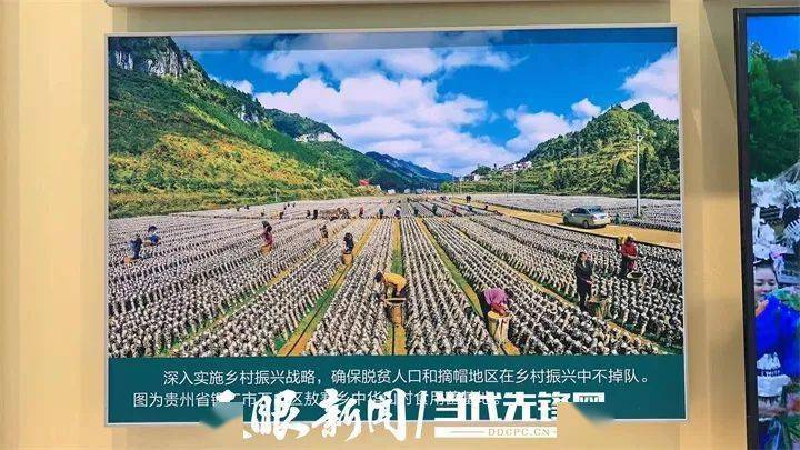 乡村振兴丨万山木耳基地:好山好水好产业_敖寨_发展_智慧