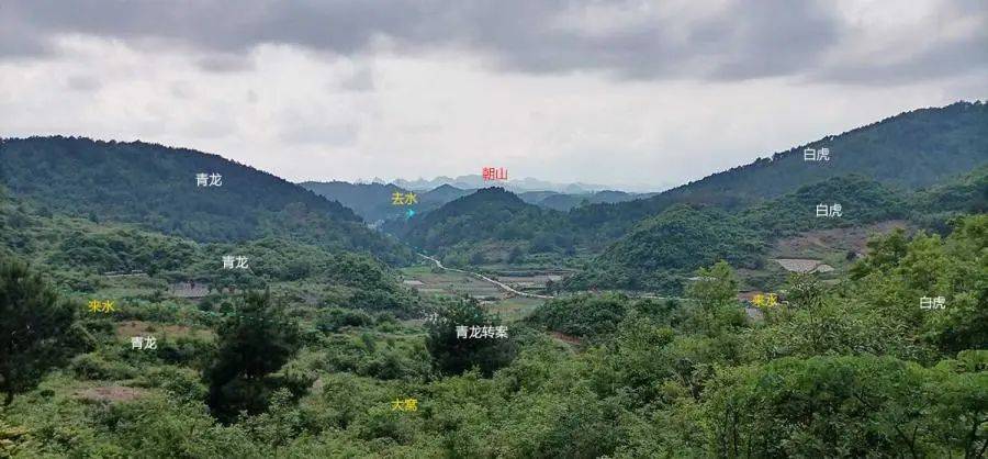 藤县睡牛风水宝地山图图片