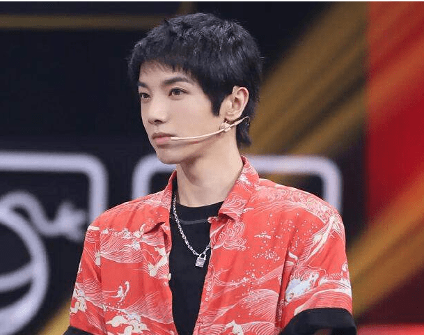 公开佩戴情侣项链 华晨宇张碧晨旧情复燃?_孩子_未婚_事业