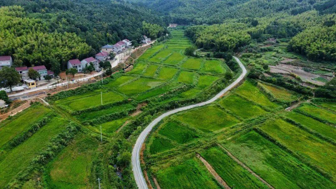 矾山镇乔冲:美丽乡村"添"新颜_建设_中心村_发展