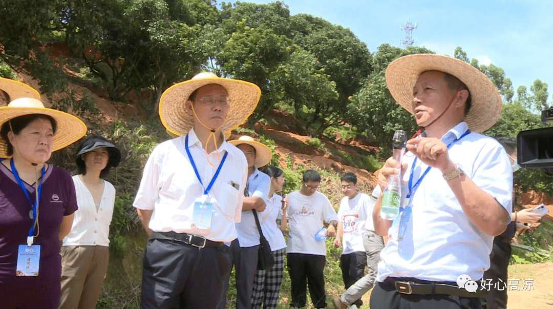 【我們的新時代】高州曹江:美麗帥堂風光好 產業振興曹江旺_發展_村民