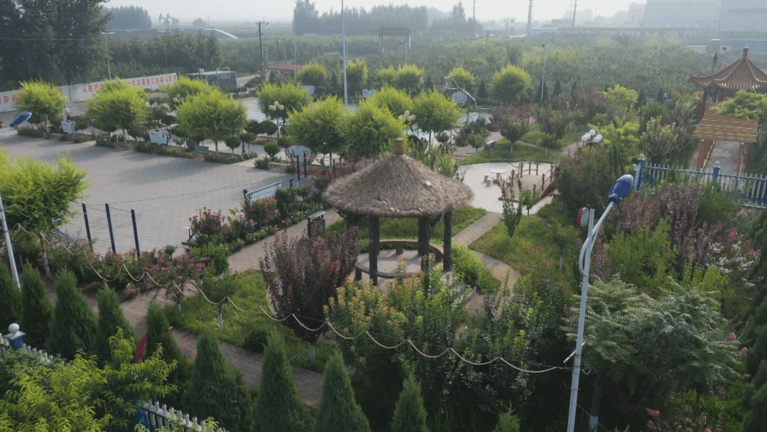 村庄美,经济优,发展强,猜猜这是哪_家乡_南智邱镇_企业