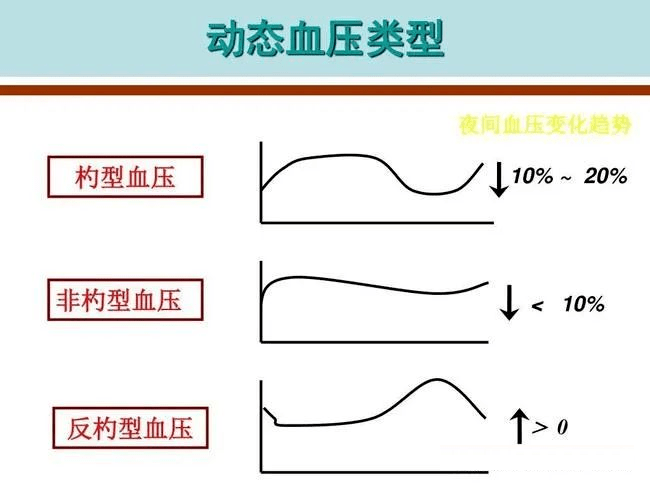 一日血压变化图图片