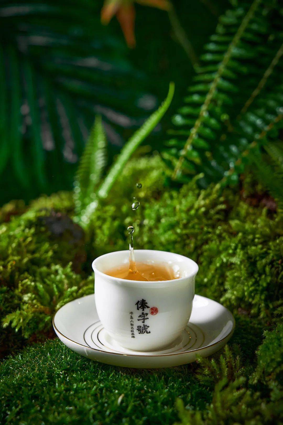 寒露至,盘龙秋茶香_桂花_文化城_小时