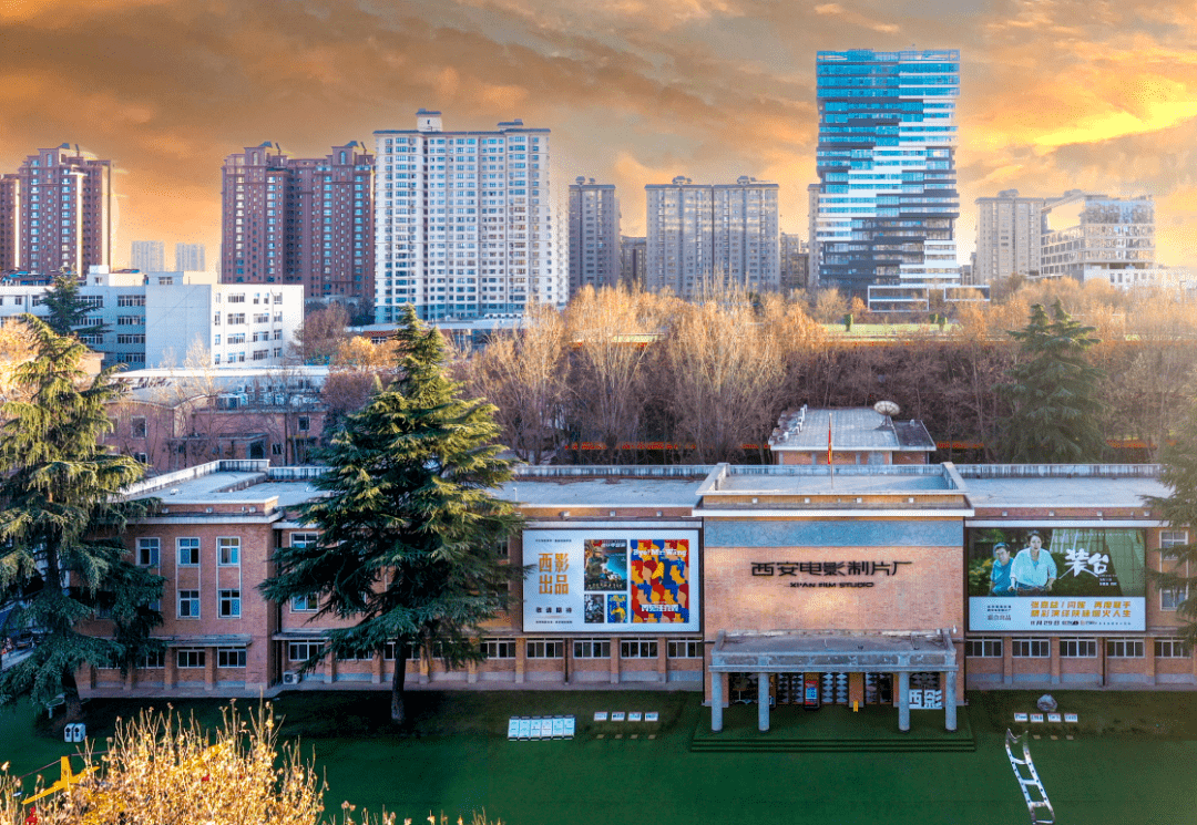 西影电影圈子|电影之外艺术以里,与潮流共舞