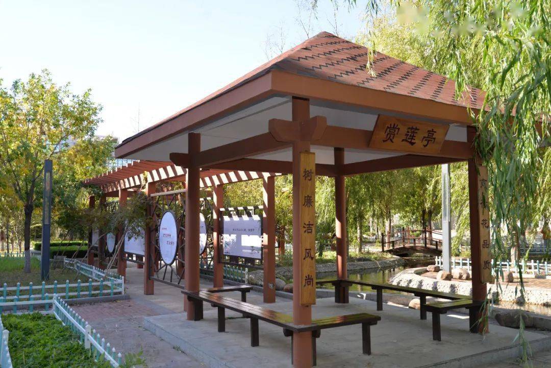 秋色正好快来欣赏校园的美景