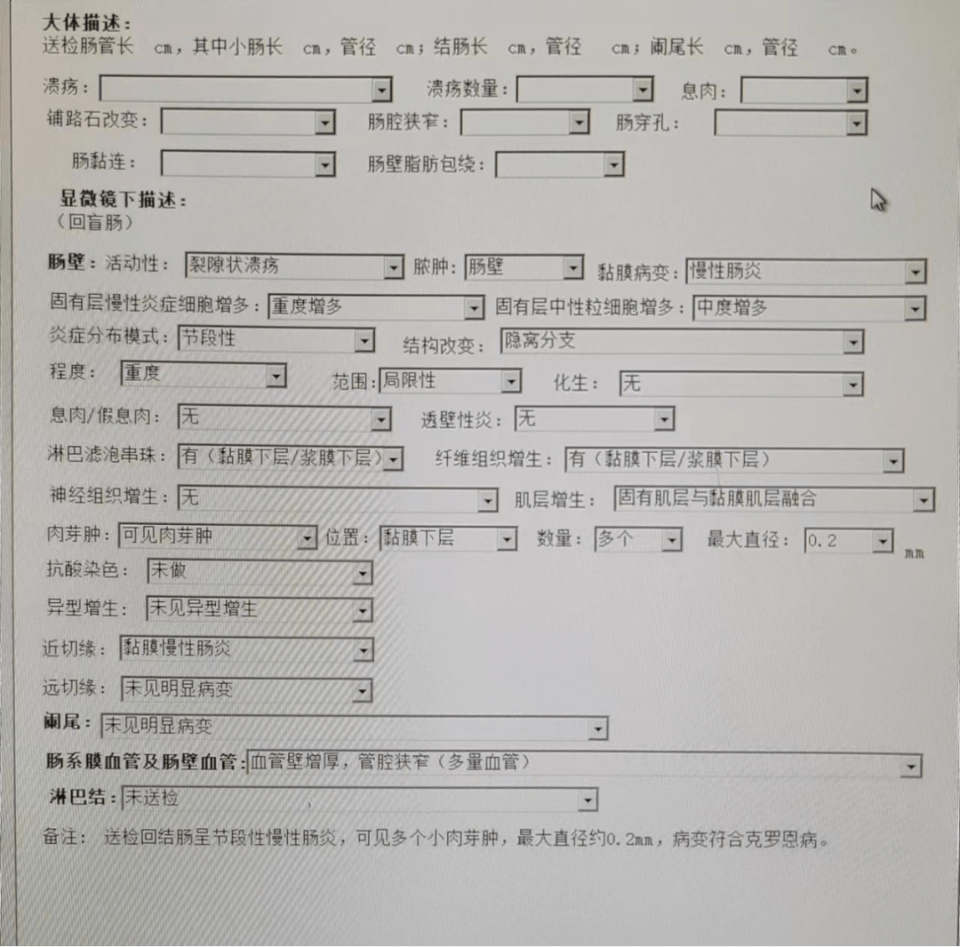 中山一院ibd報告模板三,度romantic度即