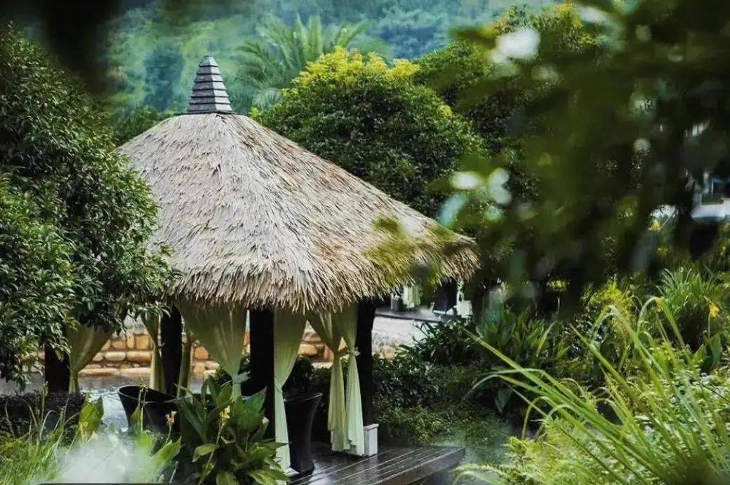 超值纯玩！泡贺州西溪森林温泉啦！山顶无边际泡泉.无限次露天温泉.更有100米无边际泳池！_地热_大山_乡村