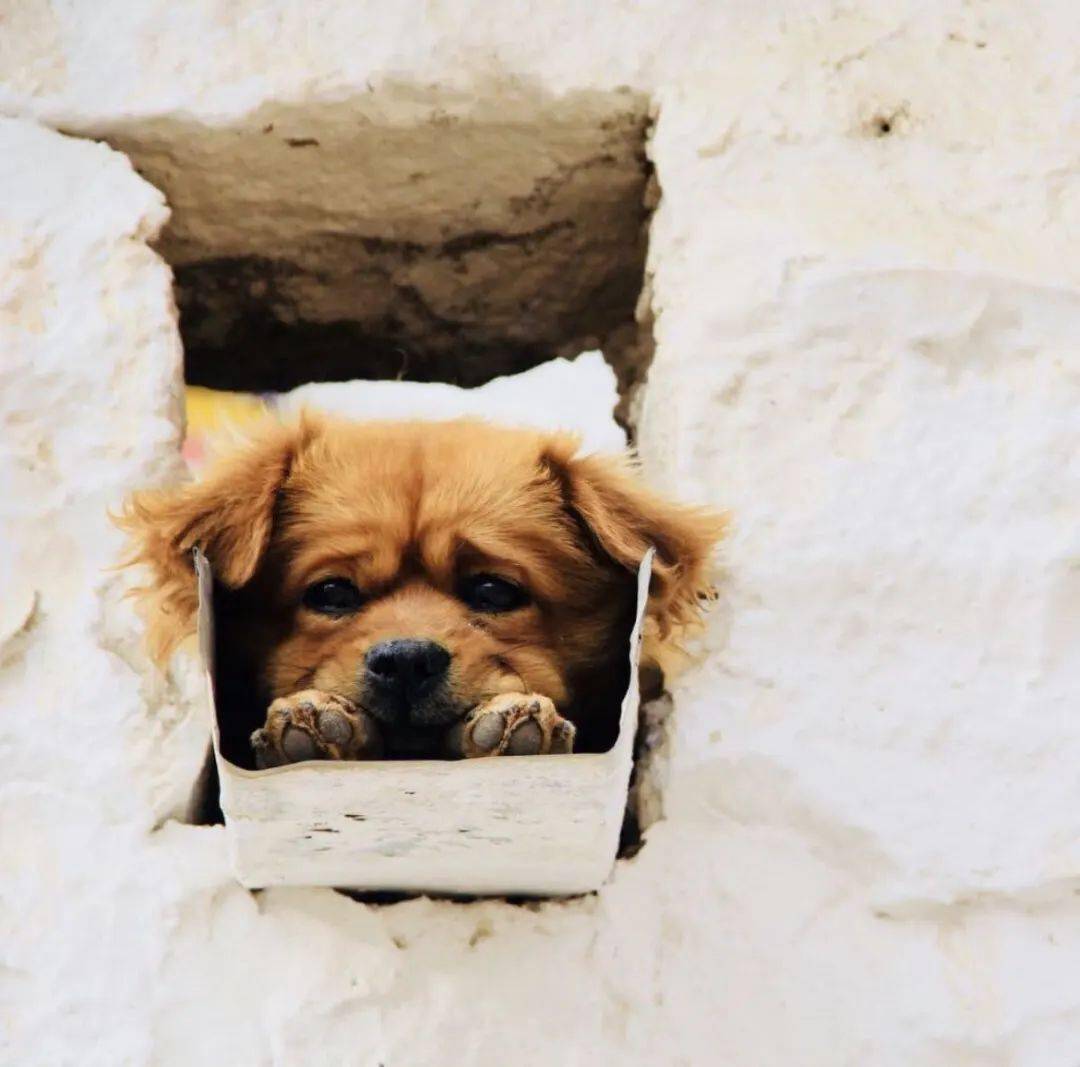 维以不永伤感谢机关党委的关心关怀,感谢雪中送炭的工会.