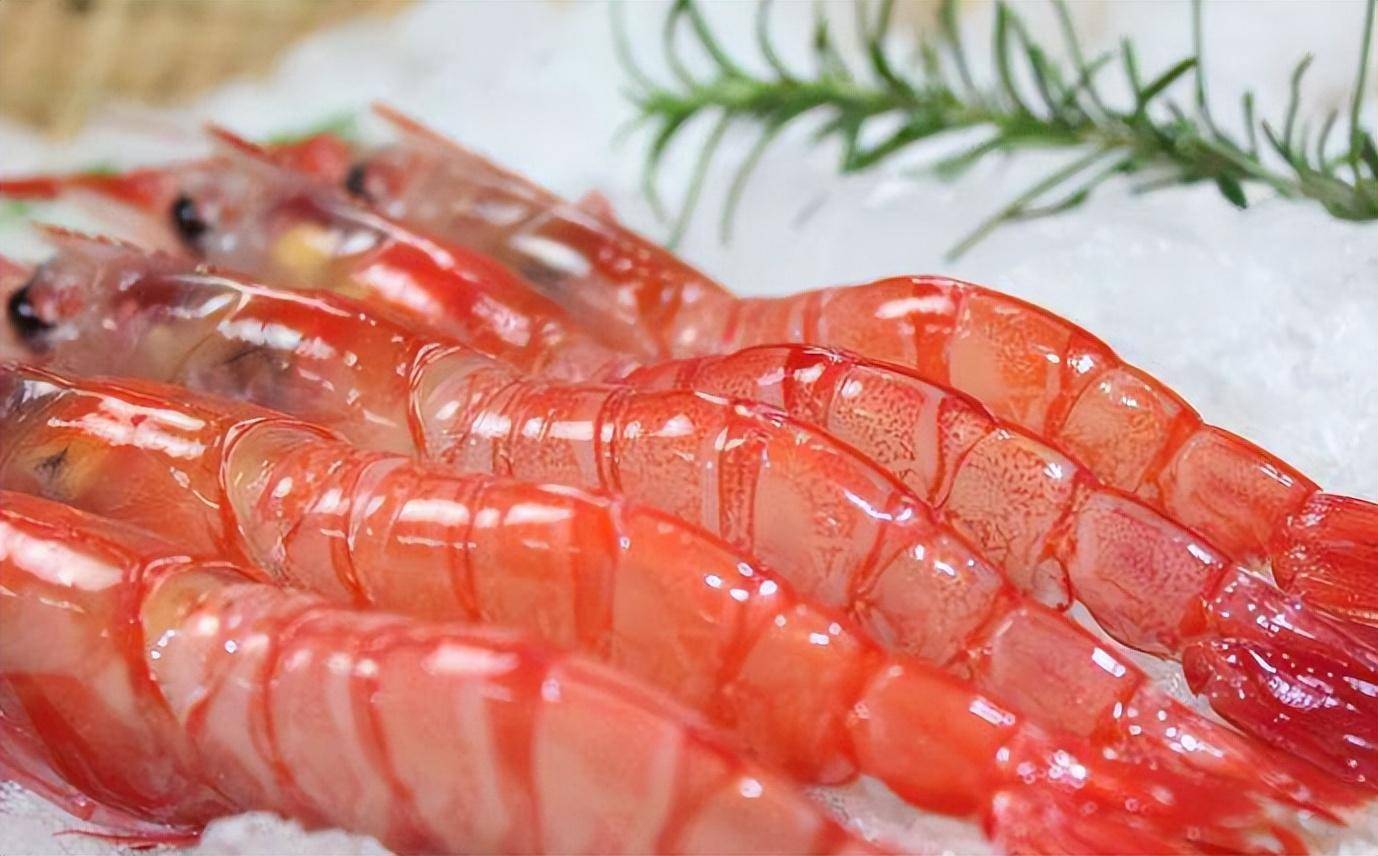 全球十大名虾排行榜 阿根廷红虾热度依旧