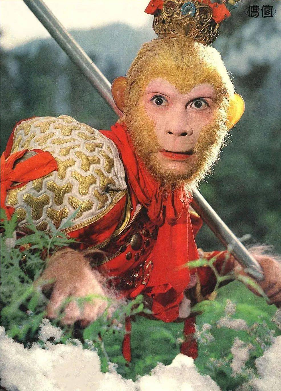 刷完260万条《西游记》弹幕,我笑出鹅叫_唐僧_视频_猪八戒