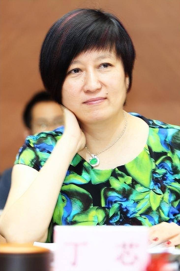 丁芯嫁给赵宝刚:盯梢丈夫有泪水,打破丁克誓言后婚姻幸福吗?_姑娘_中