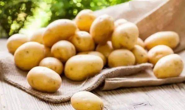 全国马铃薯国家农产品地理标志名单列表_种植_生产_威宁