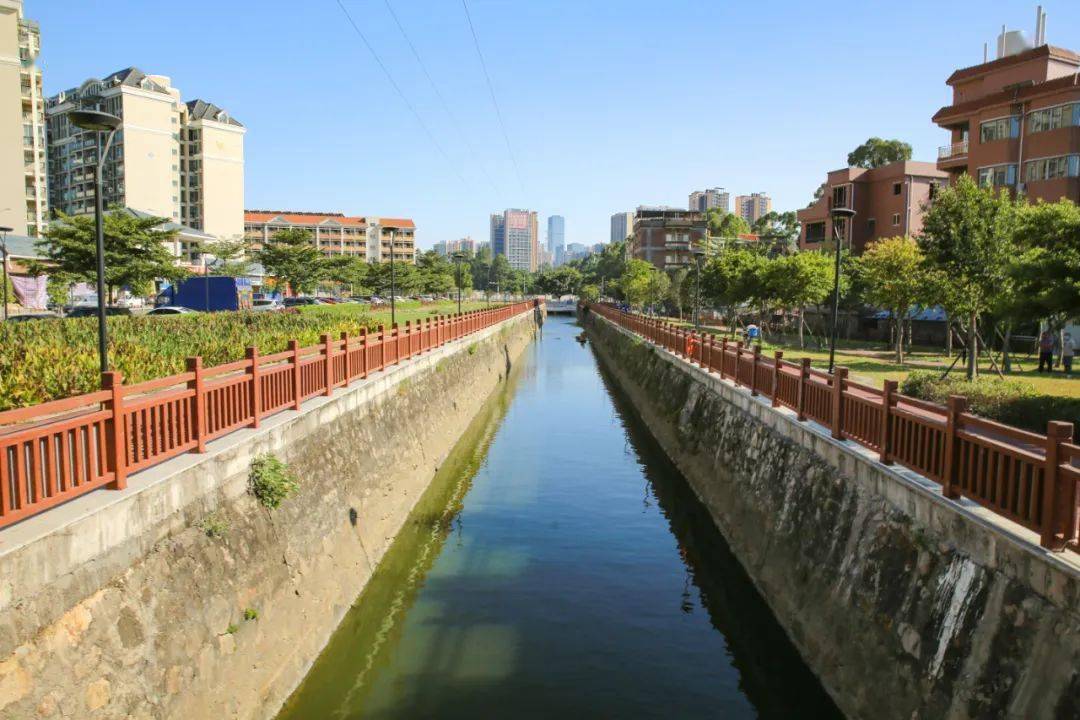 南城科学系统推进辖区水环境治理_整治_朱利民_河道